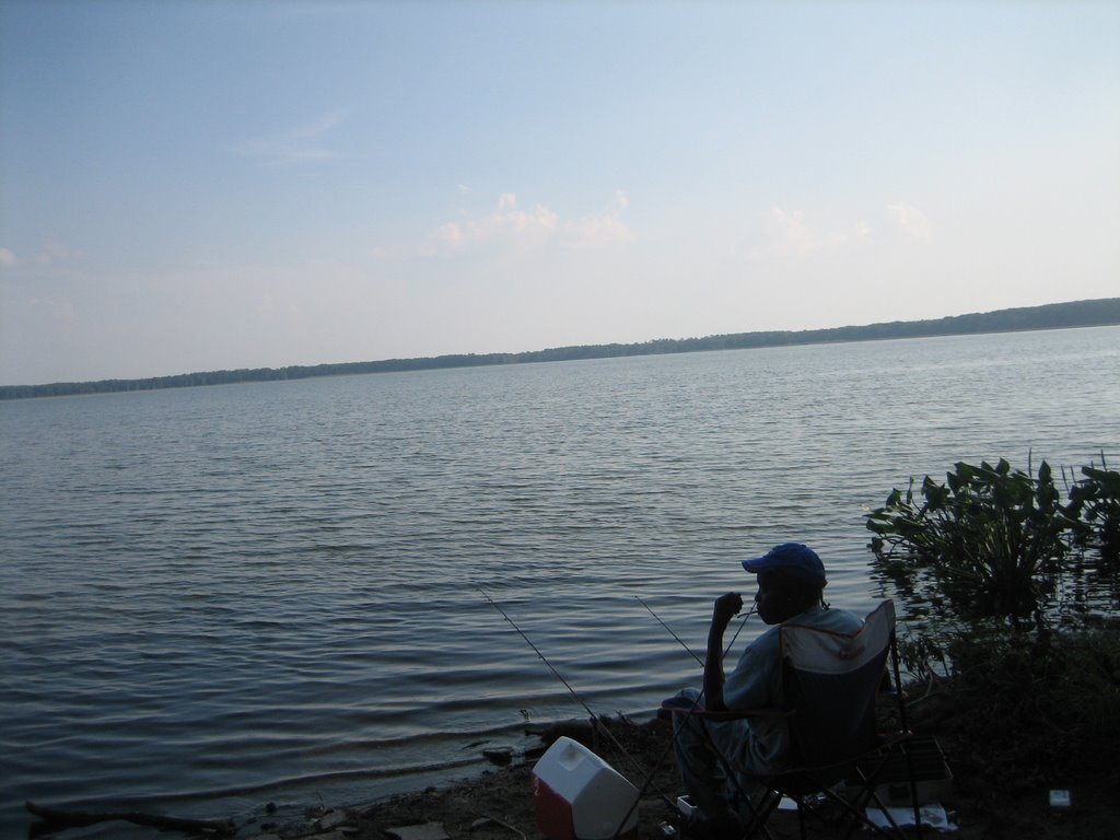 Newnans Lake 6