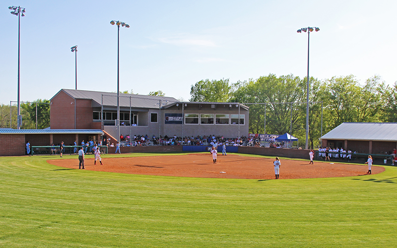 Diamond Sports Park 2