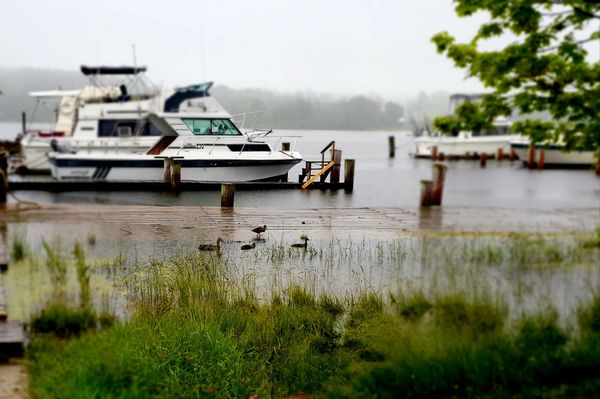 Betsie Bay Marina 6