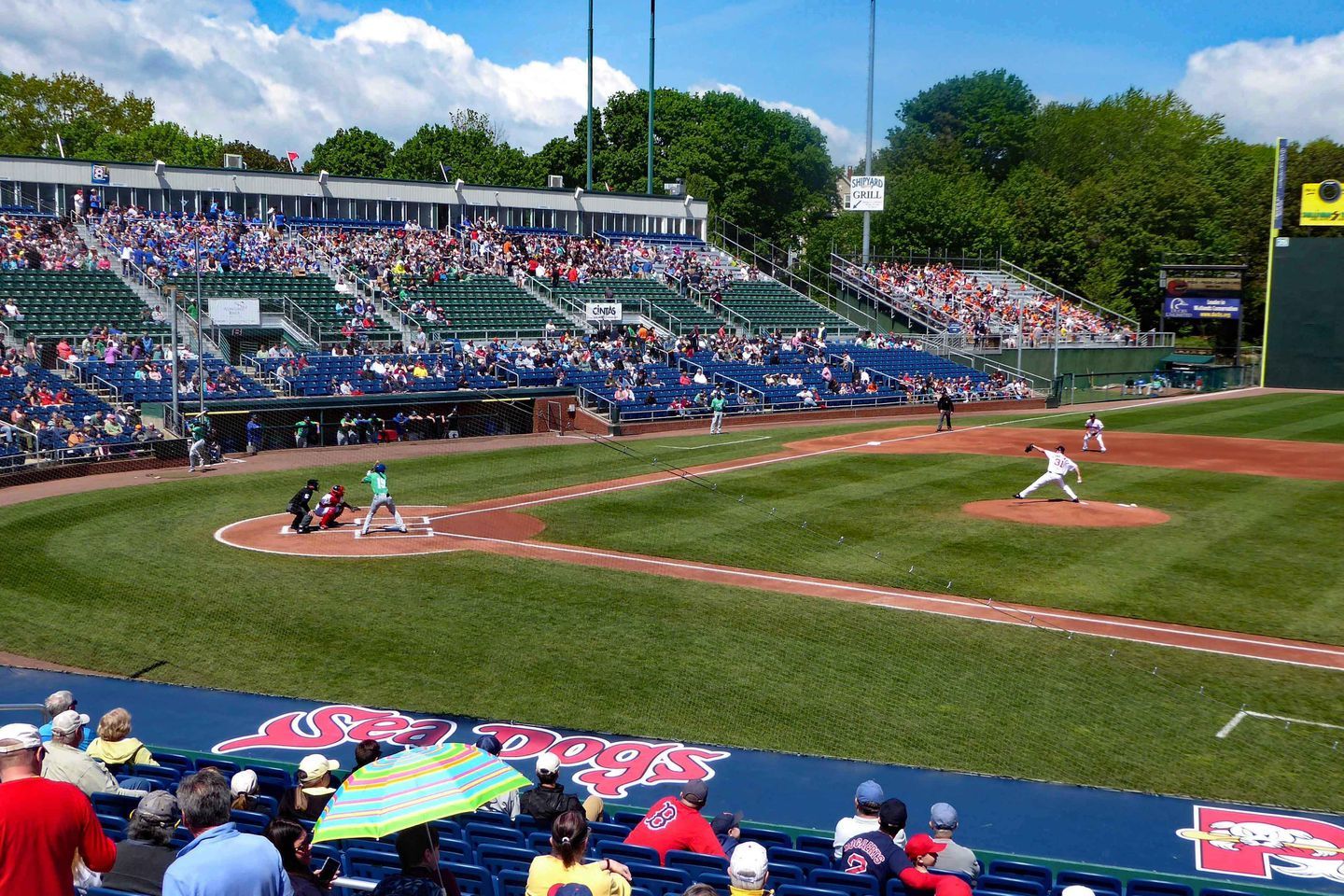 AnyConv.com__Hadlock Field 1