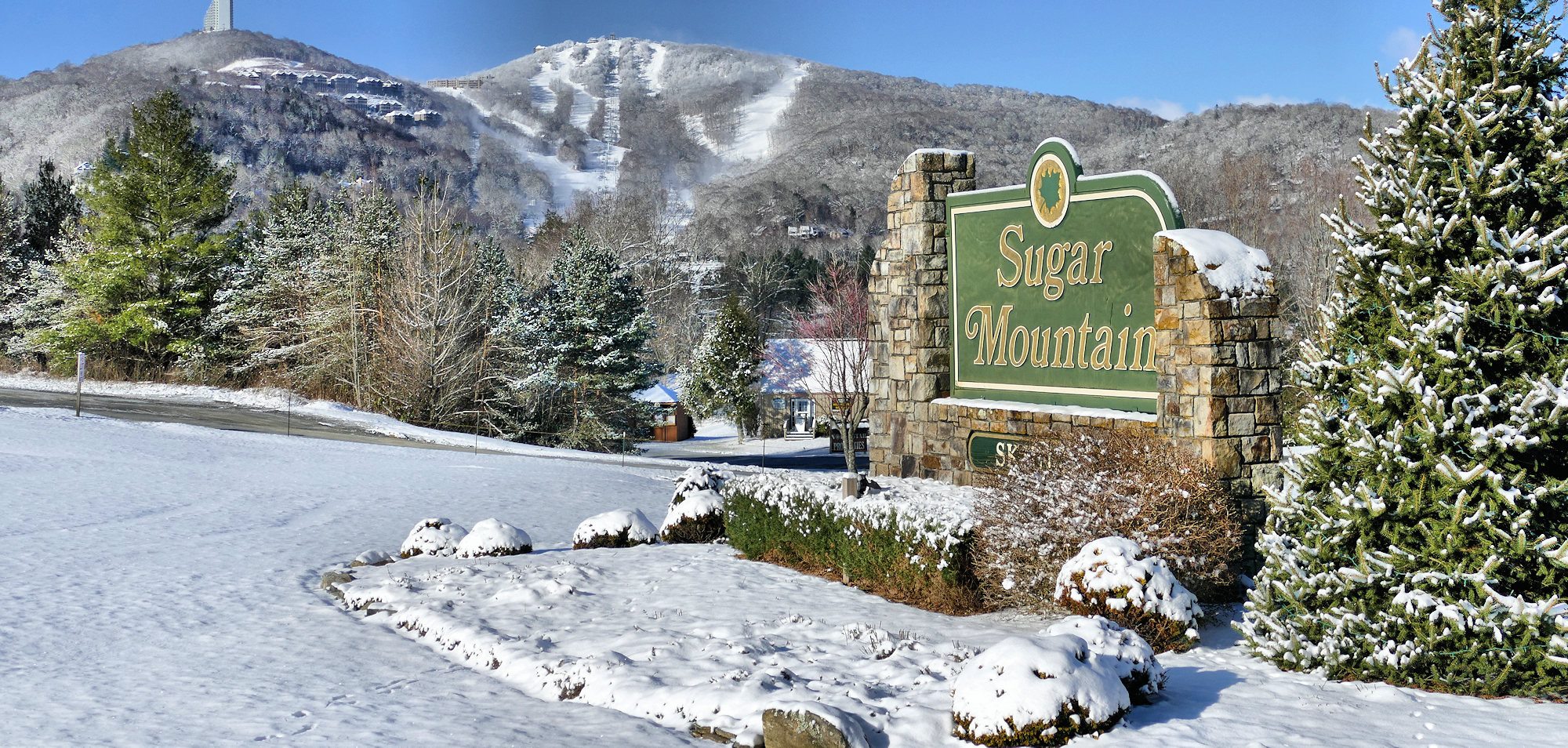 Sugar Mountain 1