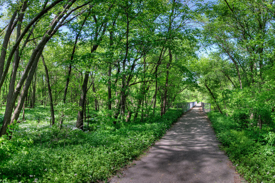 Cedar Valley Nature Trail3