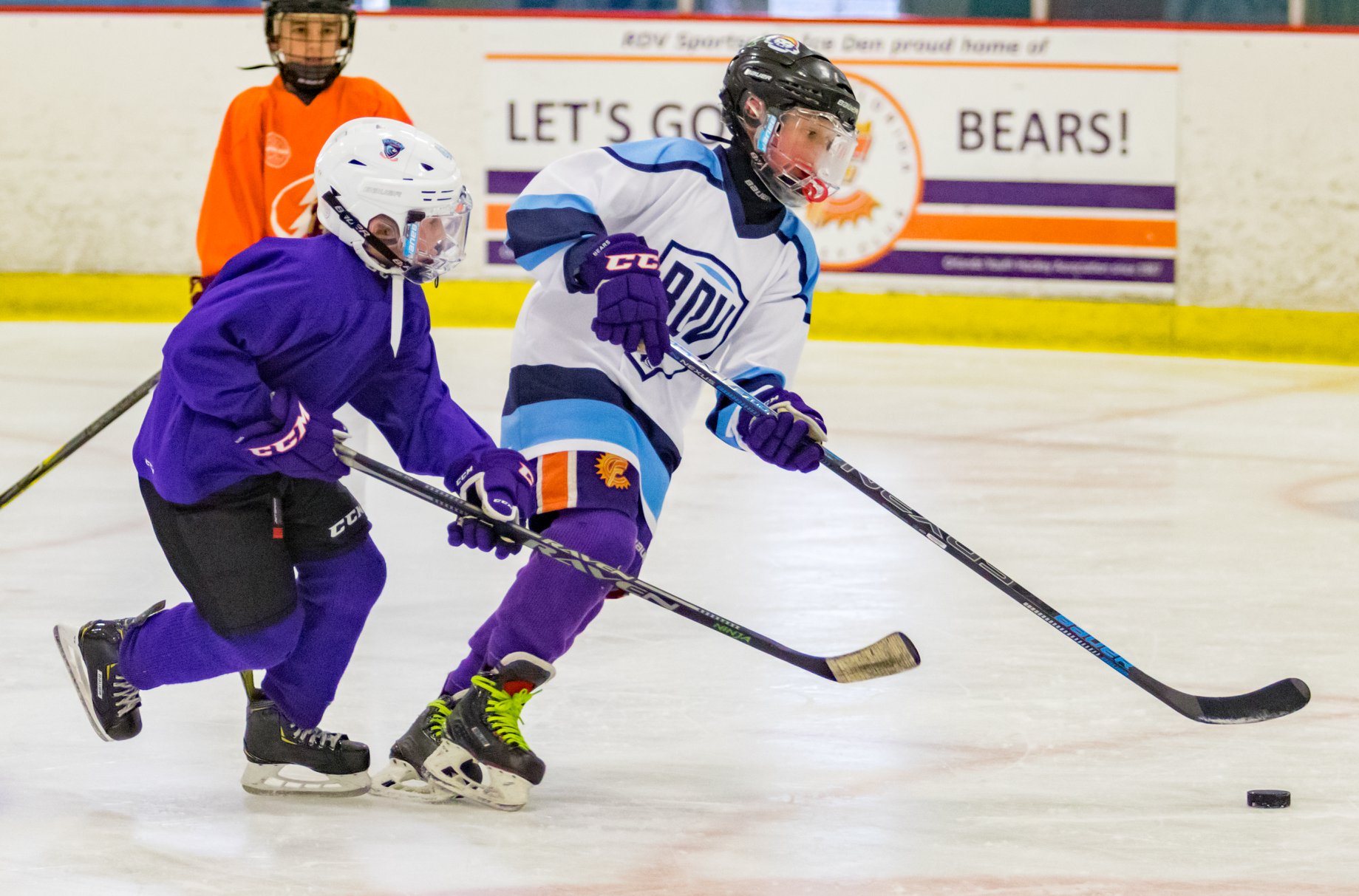 RDV Ice Den 6