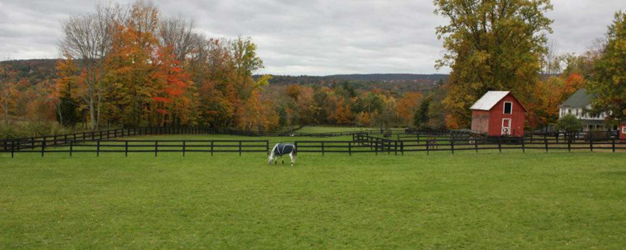 West Meadow Farm 6