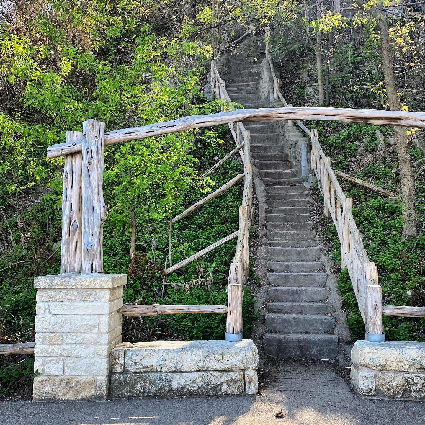 Cameron Park10
