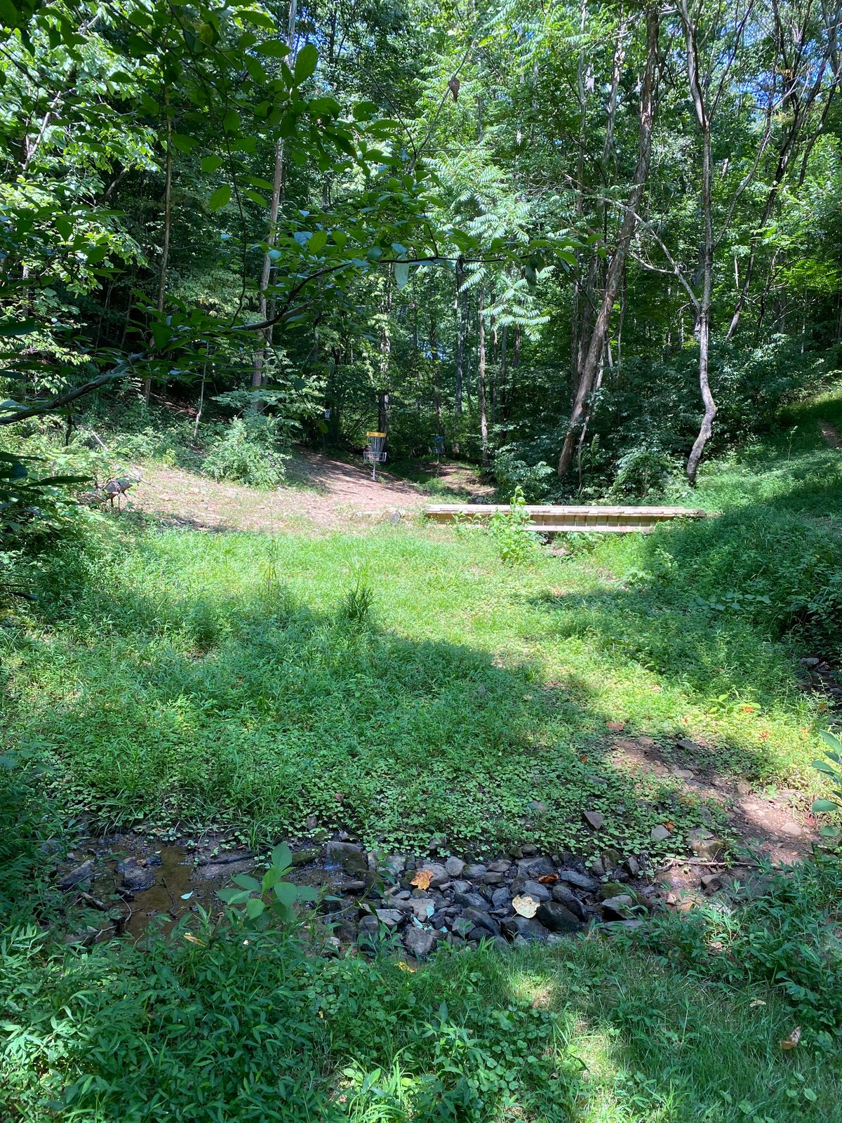 Mayflower Hills Park 1