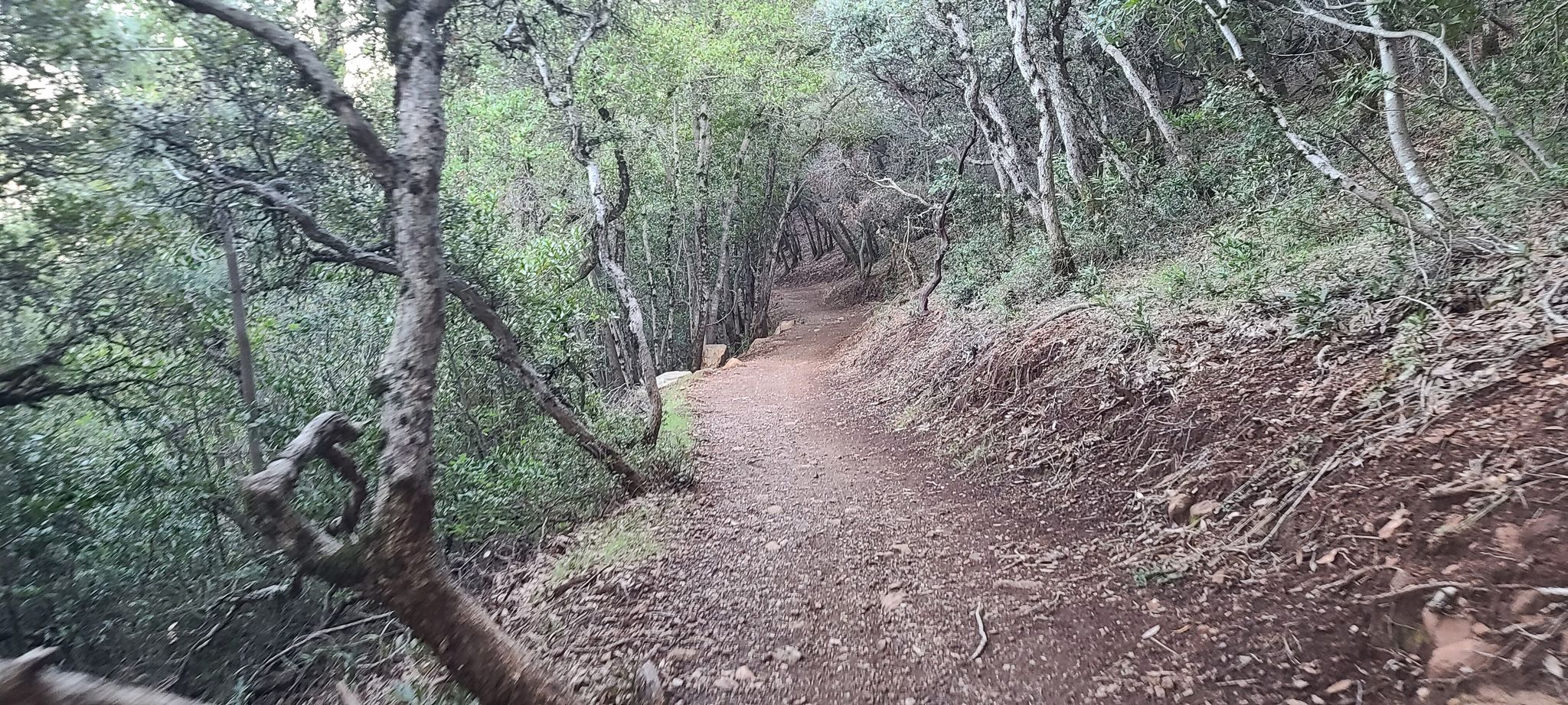 Mount Umunhum4