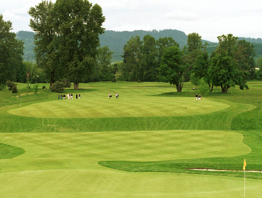 trysting tree golf