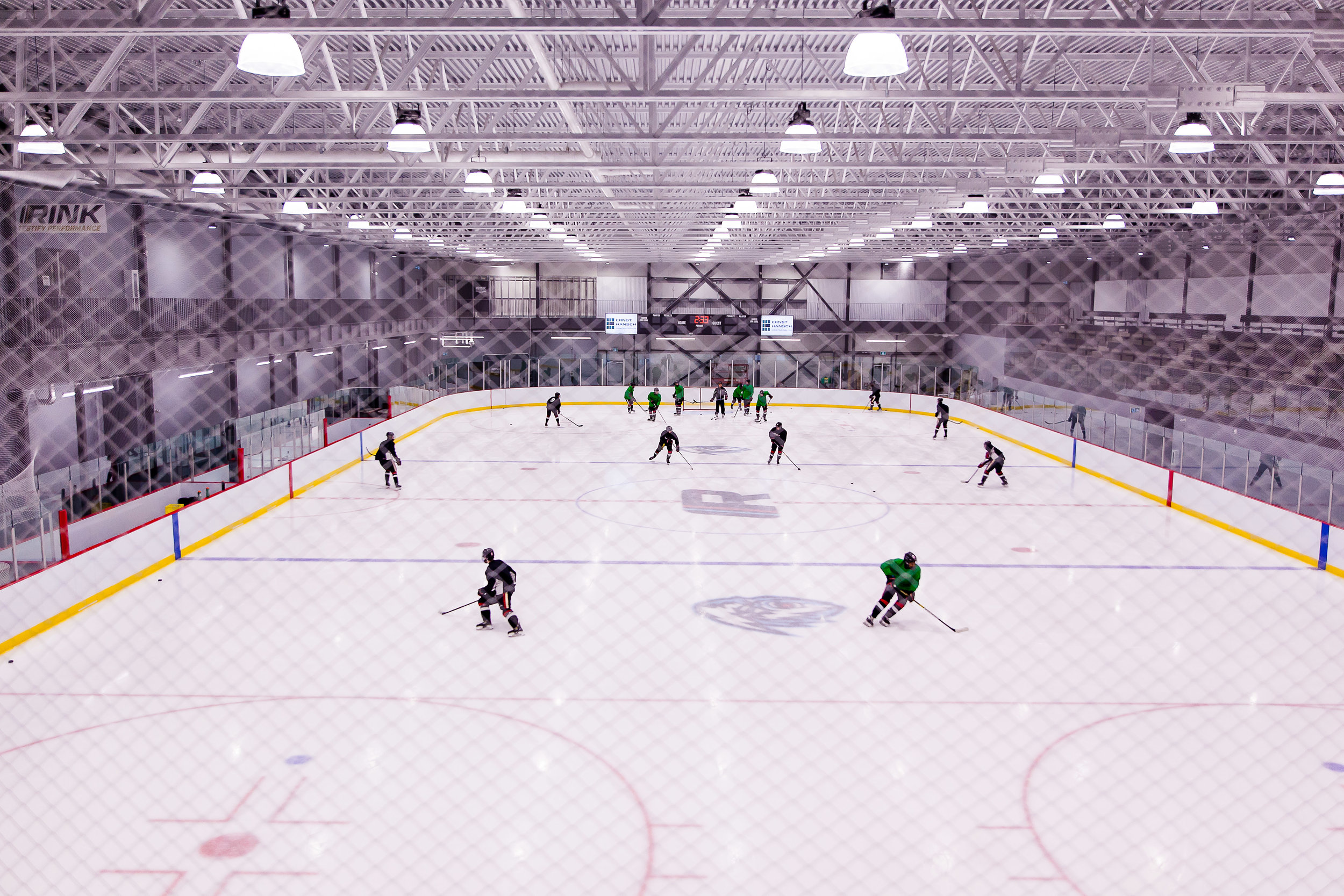 the rink winnipeg.jpg