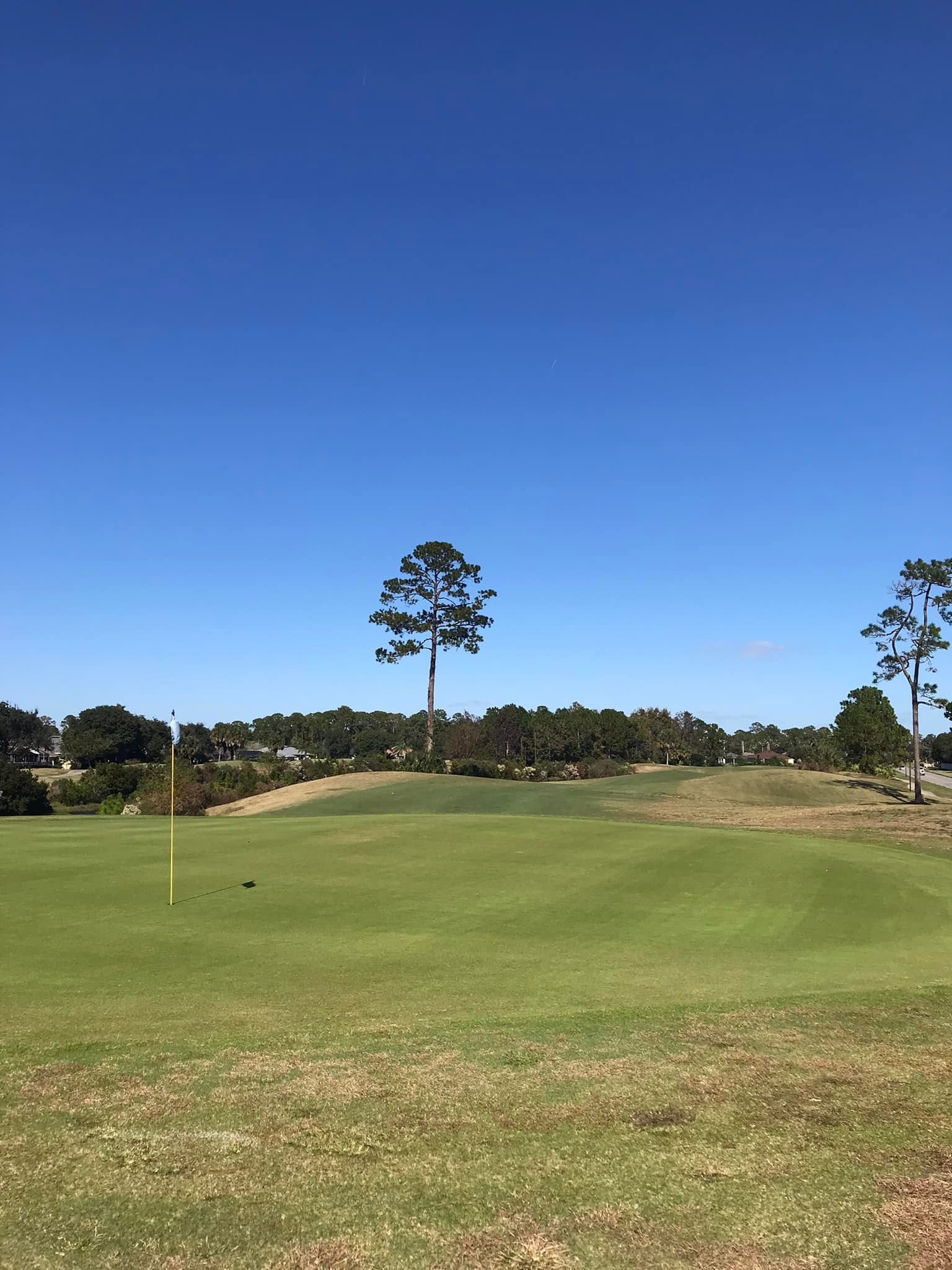 Royal St. Augustine Golf and Country Club 2