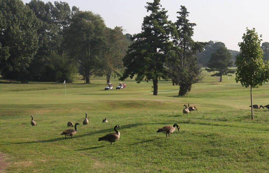 The Links at Audubon 2