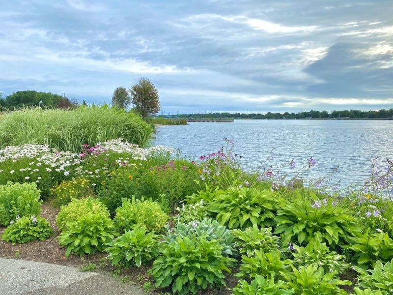 Marysville Beach & Living Shoreline Promenade 5