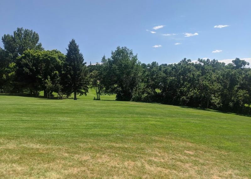 Beus Pond:Forest Green Park 2