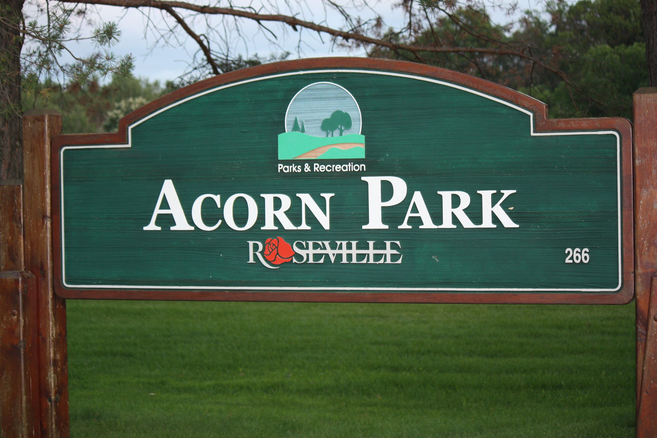 acorn park 6