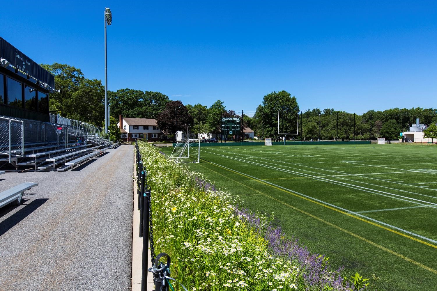Synthetic Field Stands