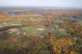 rose farm horse center from above