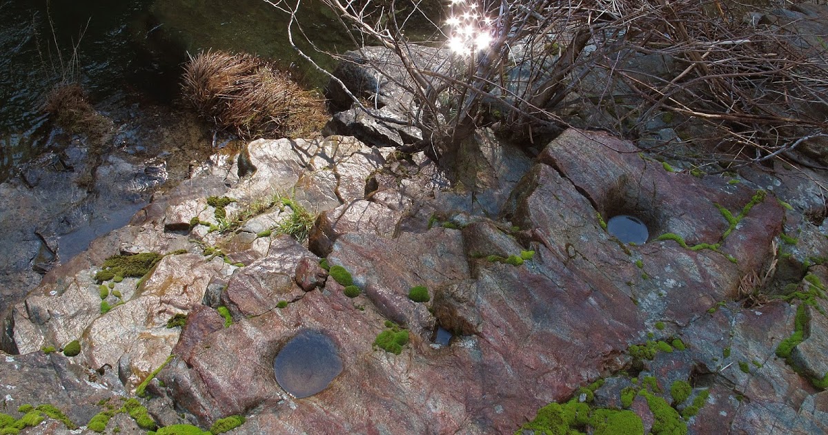 Yuba Creek Trail 6