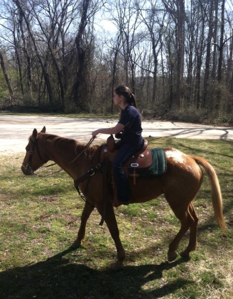 Whetstone Horse Camp 6