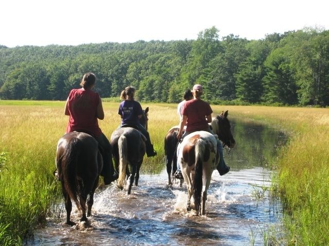 Michigan Horse Trails 5