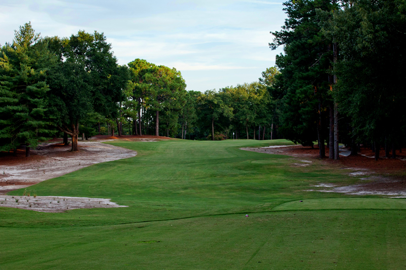 hole 6