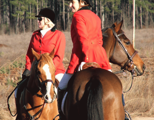 Whiskey Road Foxhounds