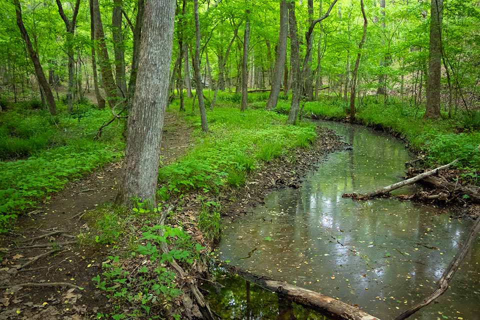 Forty Acre Rock Heritage Preserve 6