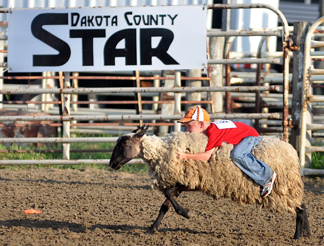 Dakota-Thurston County Fair 3