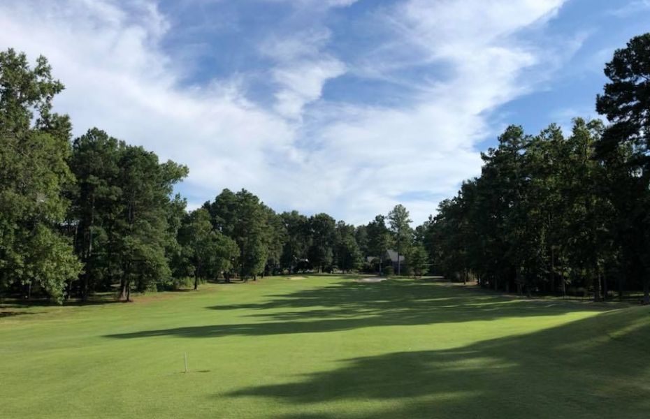 Hanover green