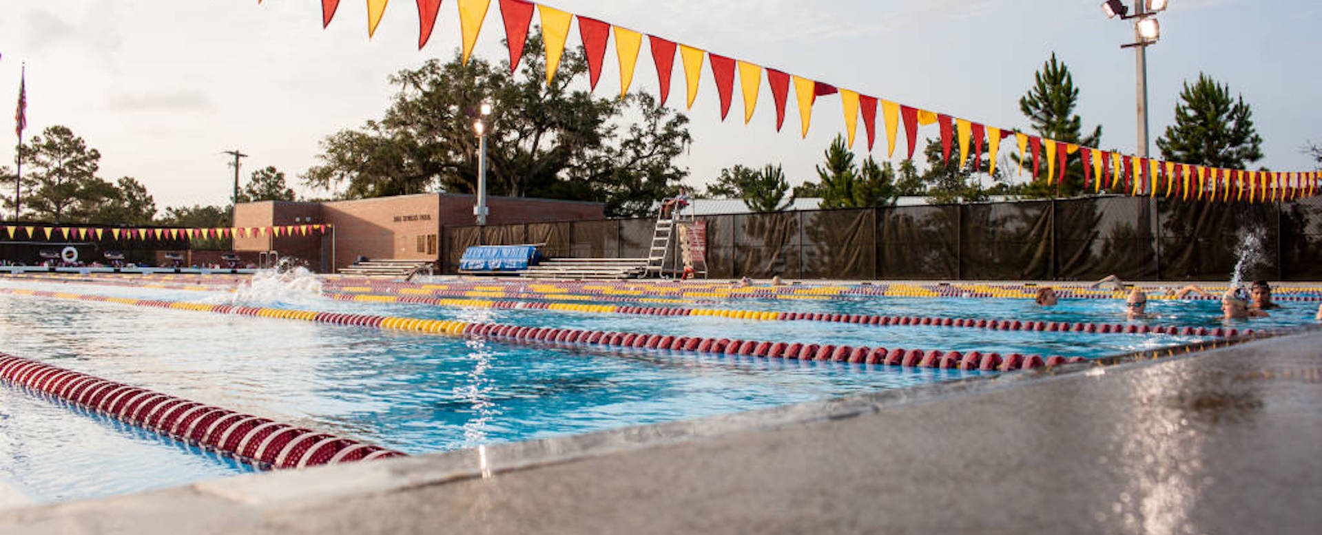 morcom aquatics