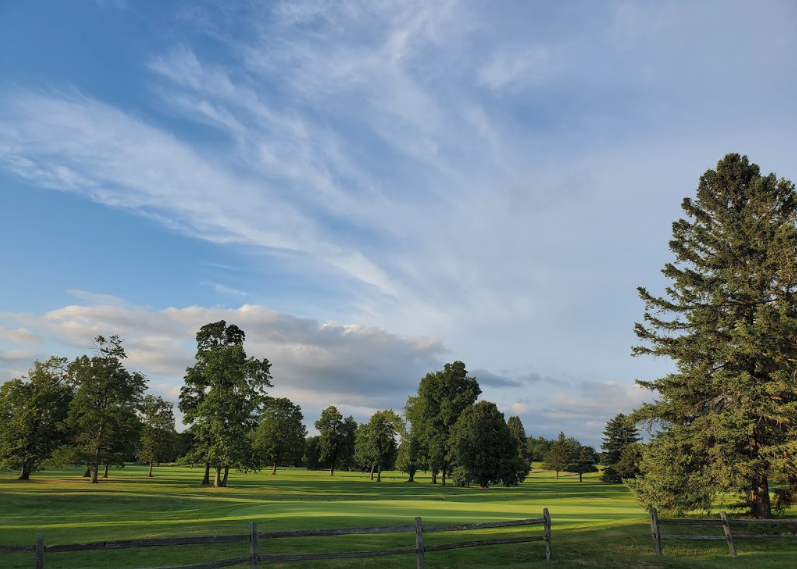 Custer Greens 3