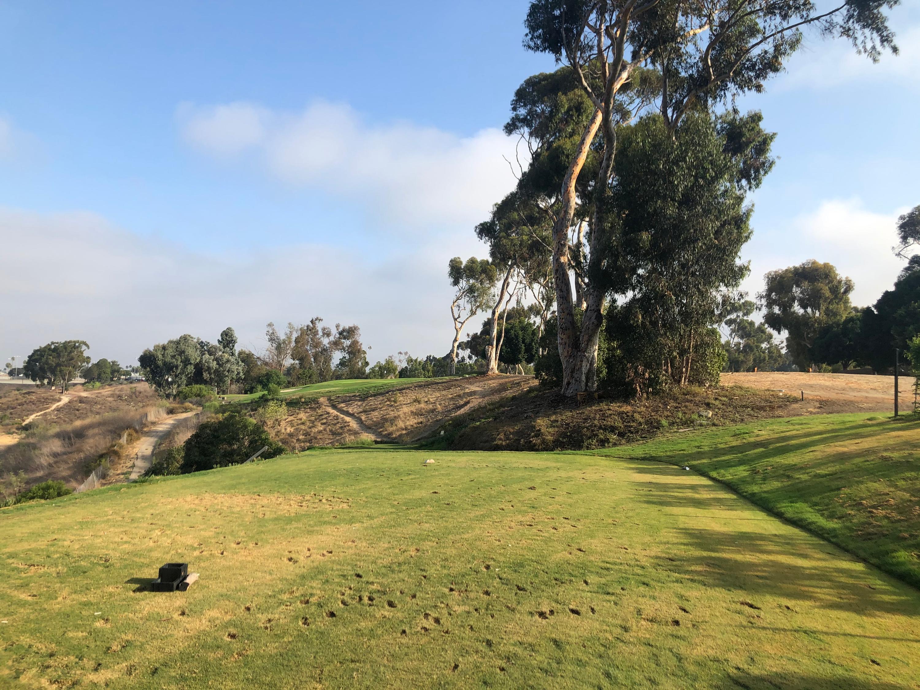 goat hill park 3