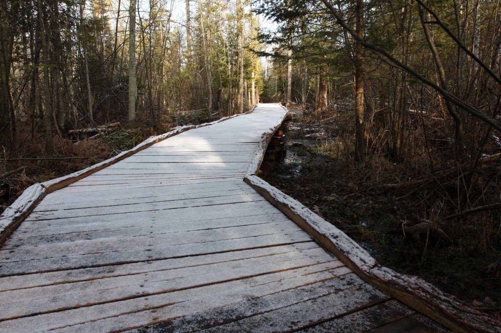 Grand Traverse Natural Education Preserve4