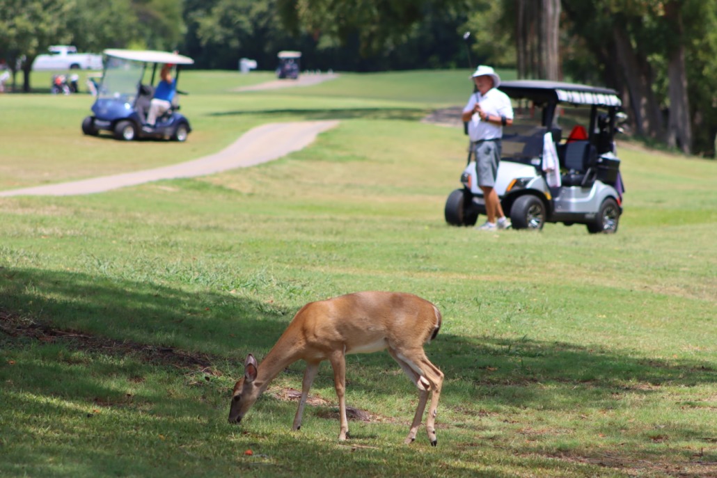 Georgetown Country Club2