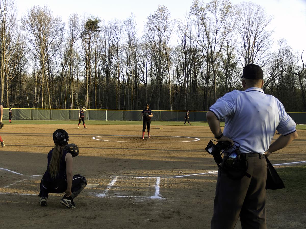 Chichester park softball