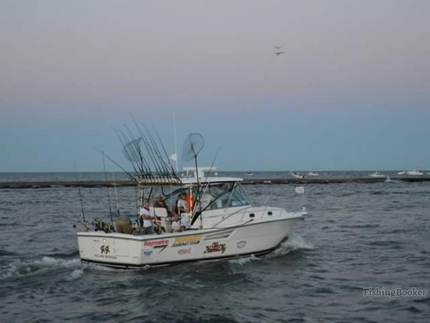 jj sportfishing charters