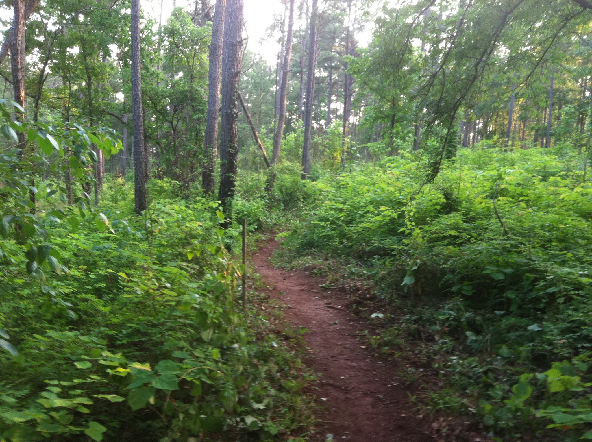 Lakeside Trails4