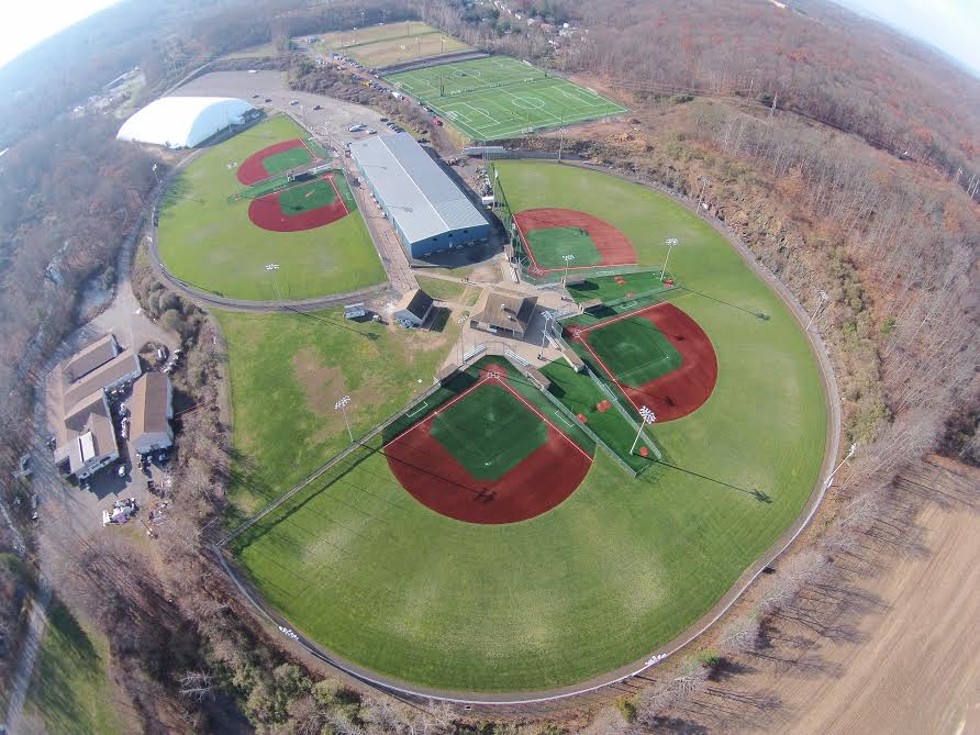 Complex Fields