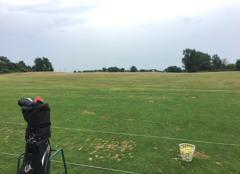 Custer Greens 6