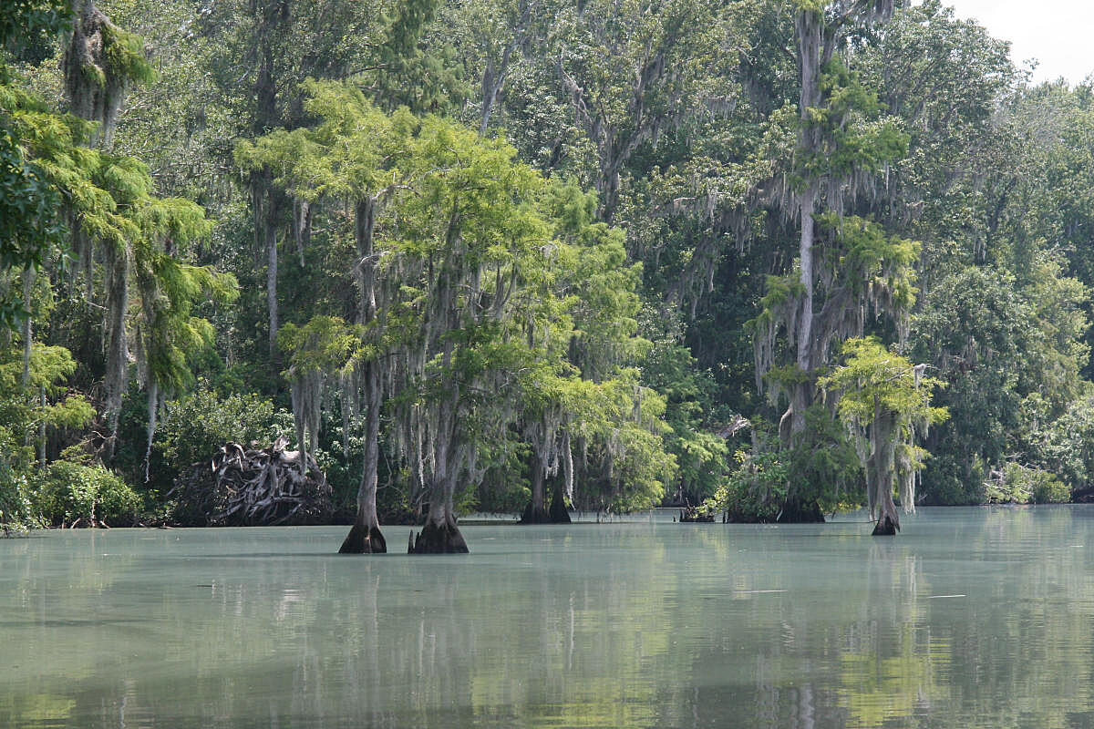 Shell Bluff Park