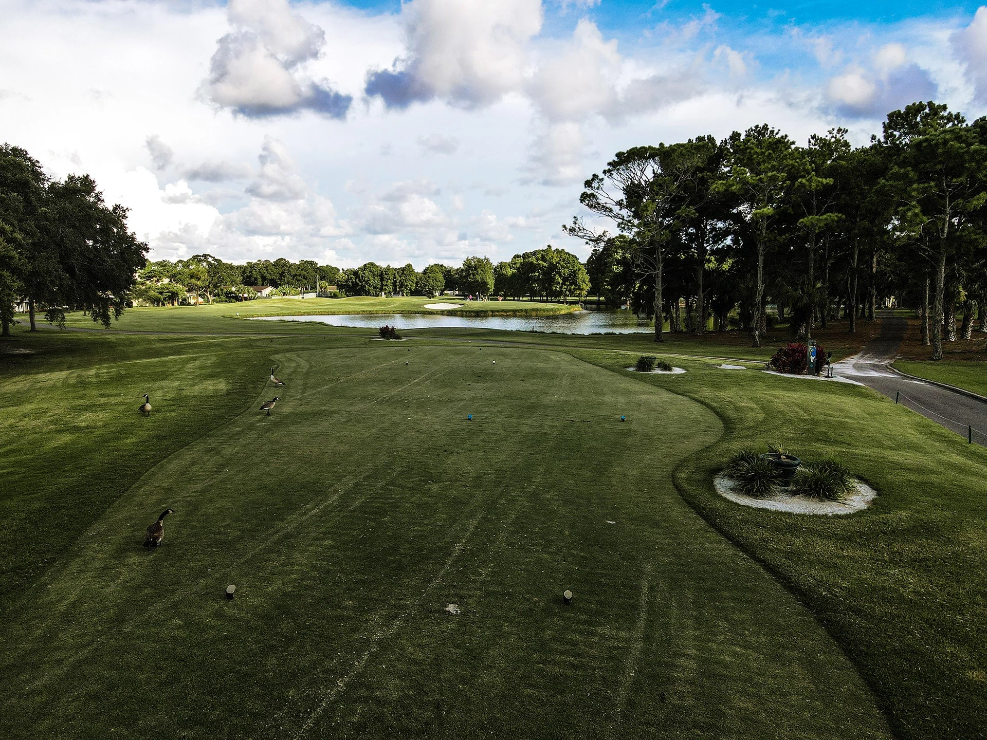 countryside gc3