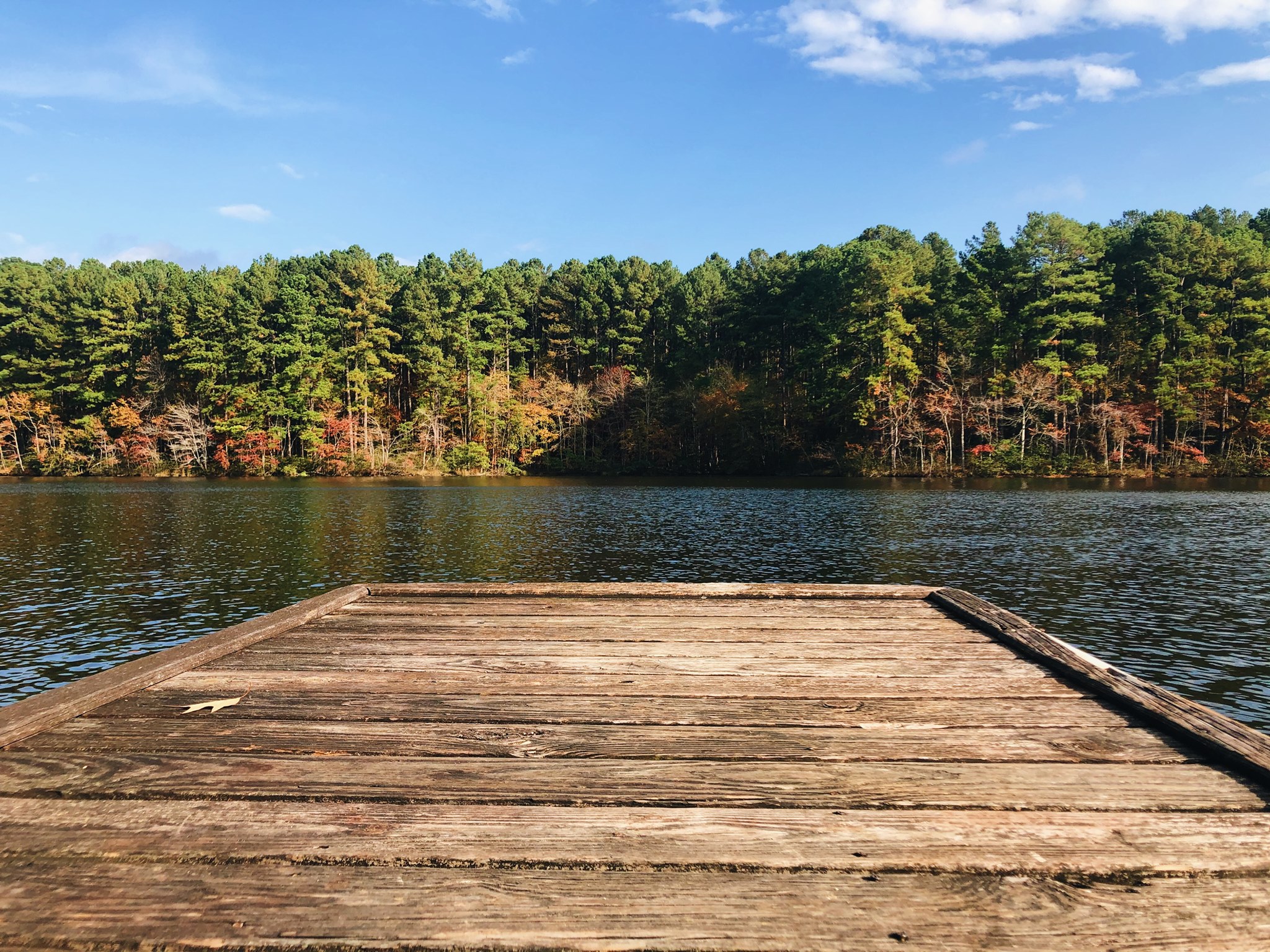 Trace State Park 6