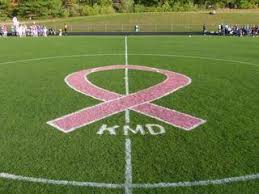 NDA academy outdoor field.jpeg