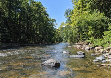 Patapsco Valley 4
