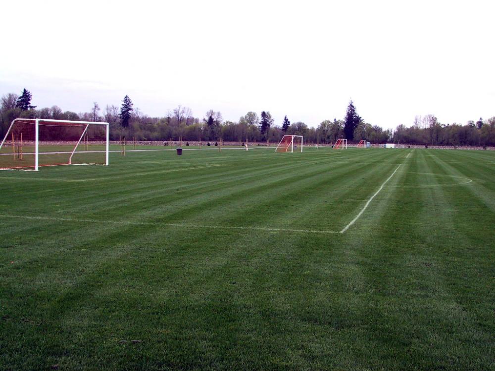new_soccer_fields_ready_to_go