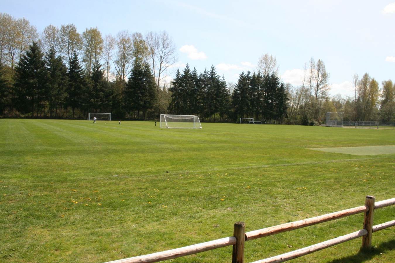 Forsgren Park7