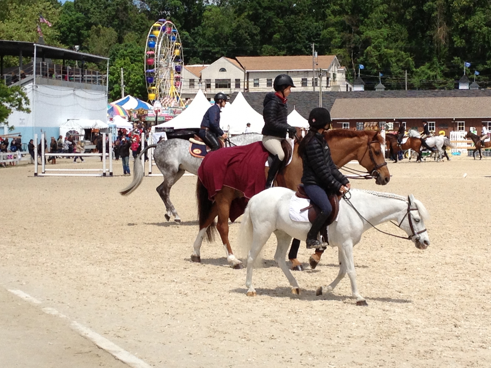 Devon Horse Show and Country Fair 5