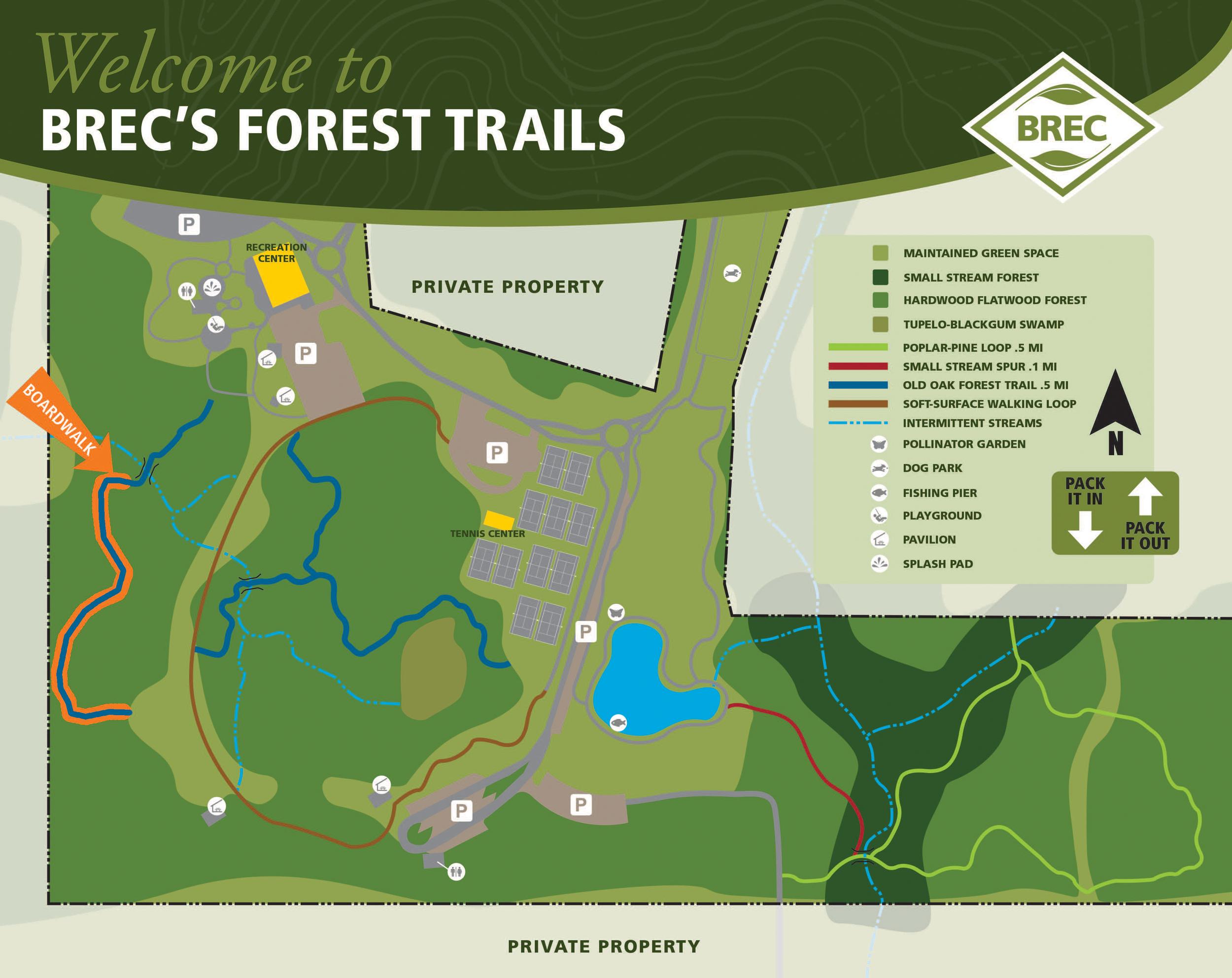 Forest community.jpg