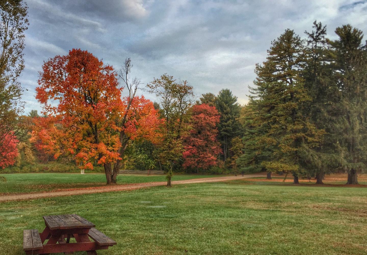crandall park 4