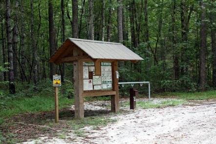 Whetstone Horse Camp 4