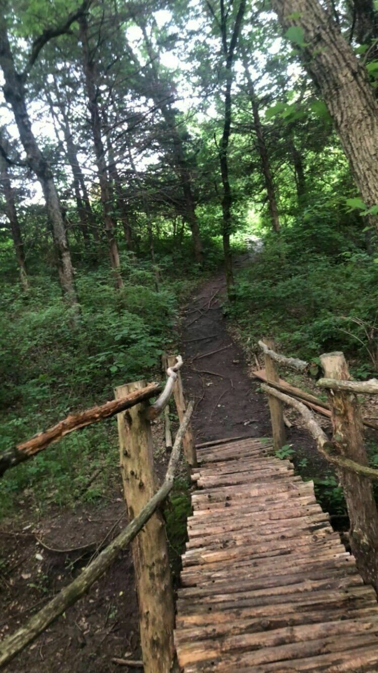 Washington Marlatt Park Trails 2